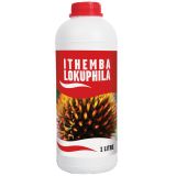 ITHEMBA LOKUPHILA