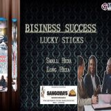 BUSINESS SUCCESS LUCKY STICKS